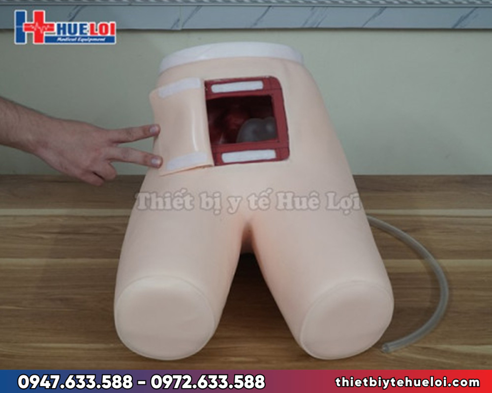 Mô hình thực hành thụt tháo cho bệnh nhân